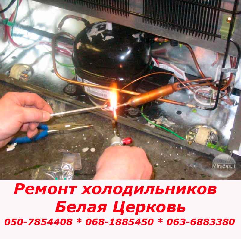 Ремонт холодильника Белая Церковь