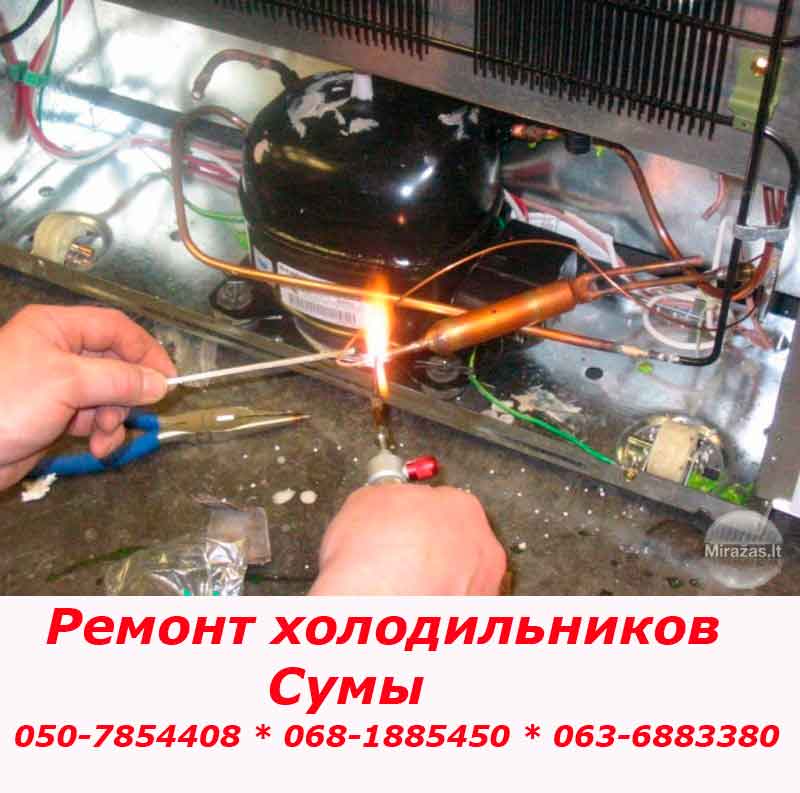 Ремонт холодильника Сумы