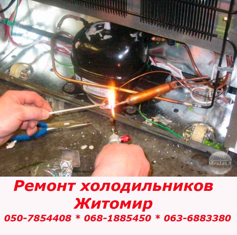 Ремонт холодильника Житомир